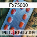 Fx75000 06